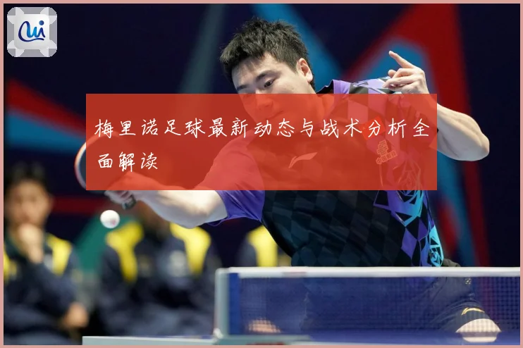 梅里诺足球最新动态与战术分析全面解读