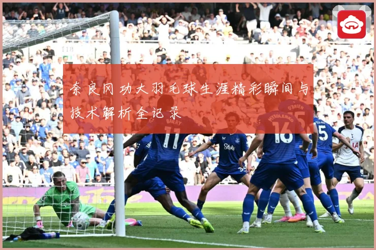 奈良冈功大羽毛球生涯精彩瞬间与技术解析全记录